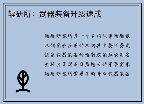 辐研所：武器装备升级速成